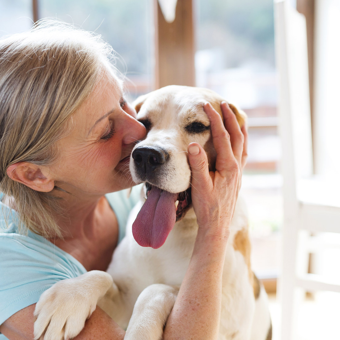 Itchy dog? The Role Nutrition Can Play in Healthy Skin