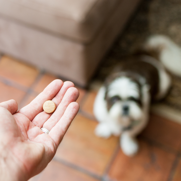 Powder, tablet or chew? Why we chose the scoop