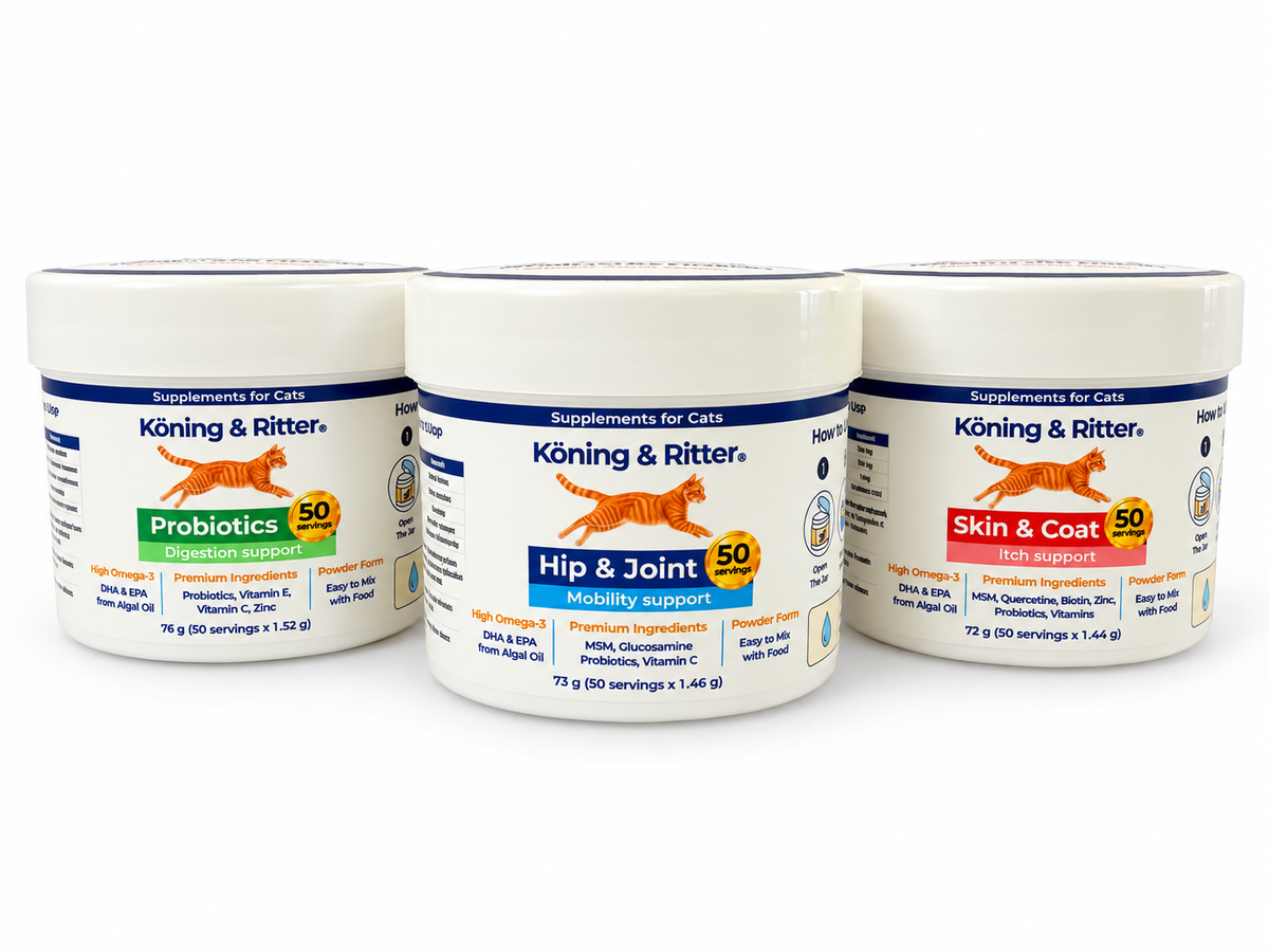 Cat Hip & Joint Supplement | Daily Mobility Support