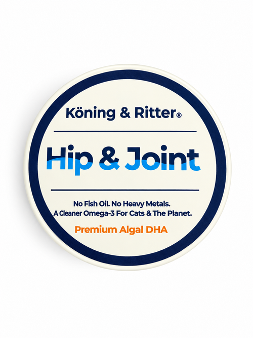 Cat Hip & Joint Supplement | Daily Mobility Support