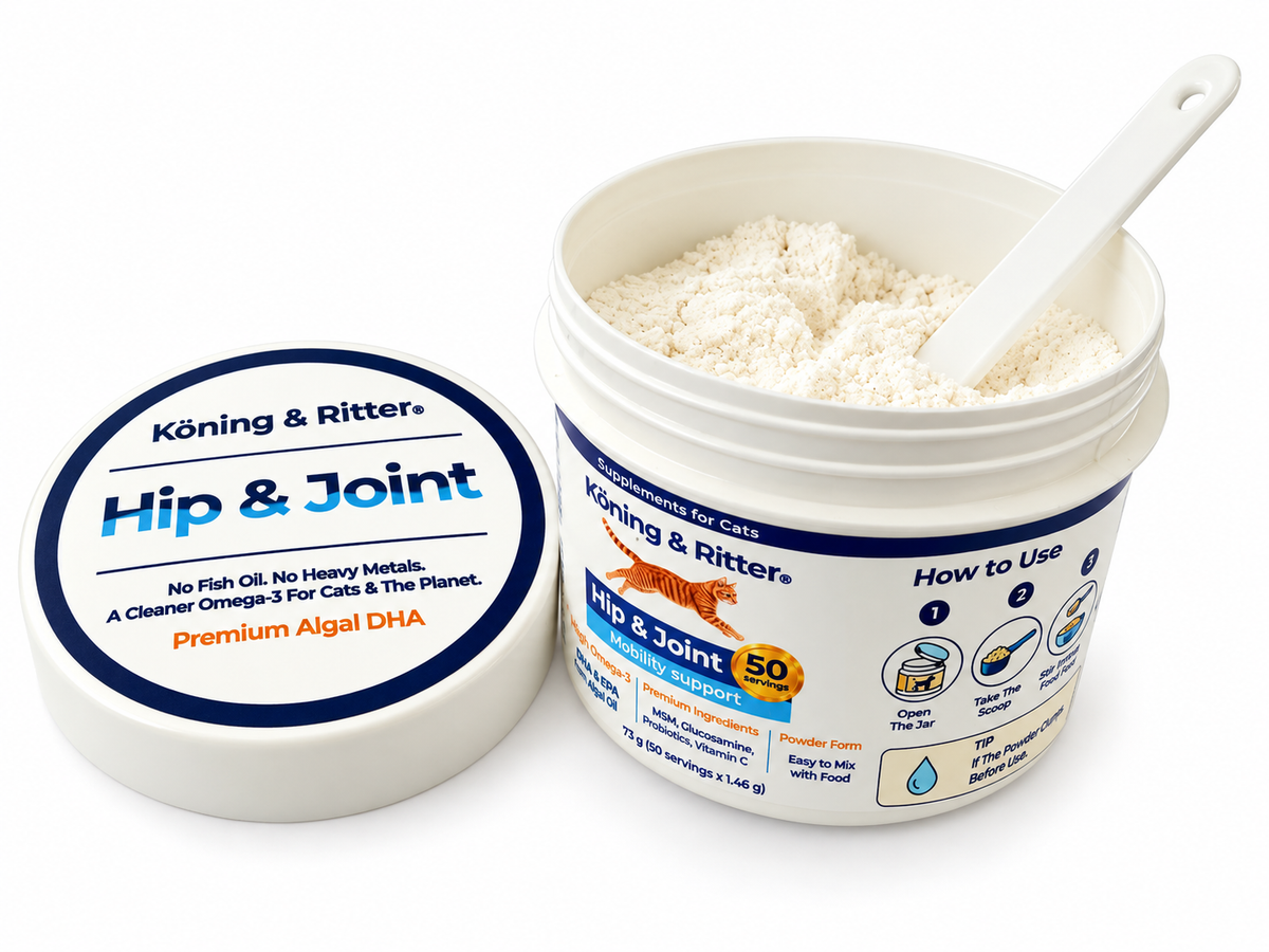 Cat Hip & Joint Supplement | Daily Mobility Support