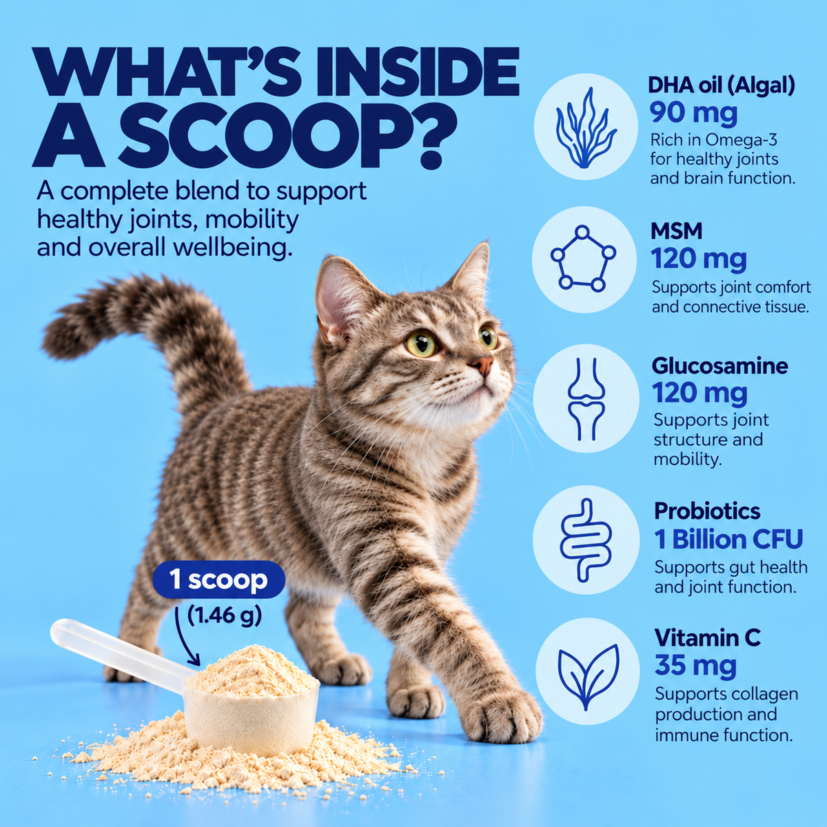 Cat Hip & Joint Supplement | Daily Mobility Support