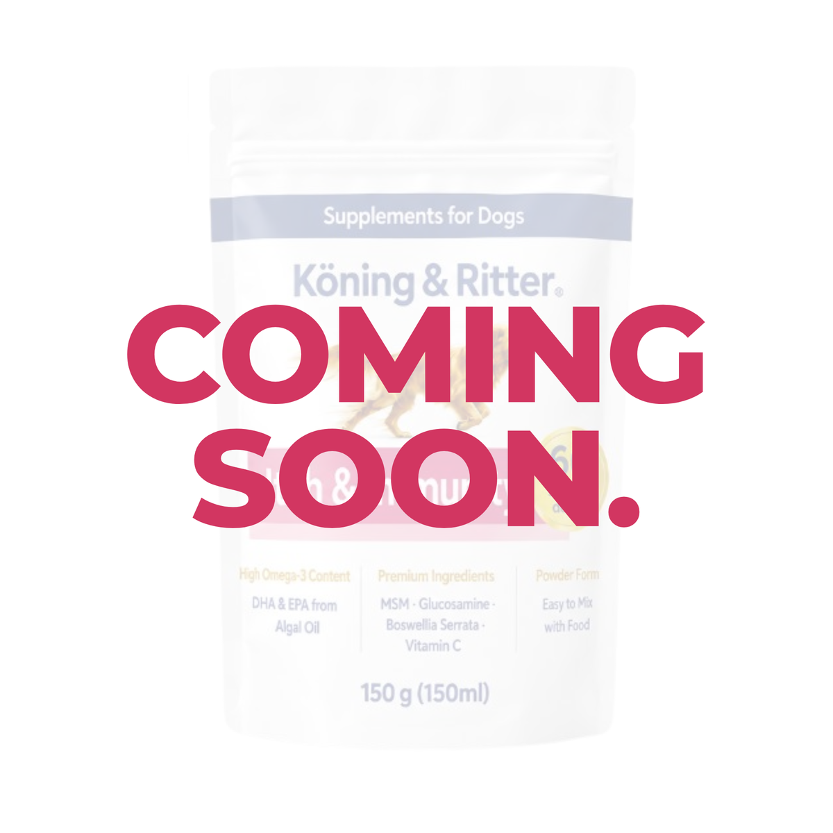 Skin & Coat Supplement for Dogs
