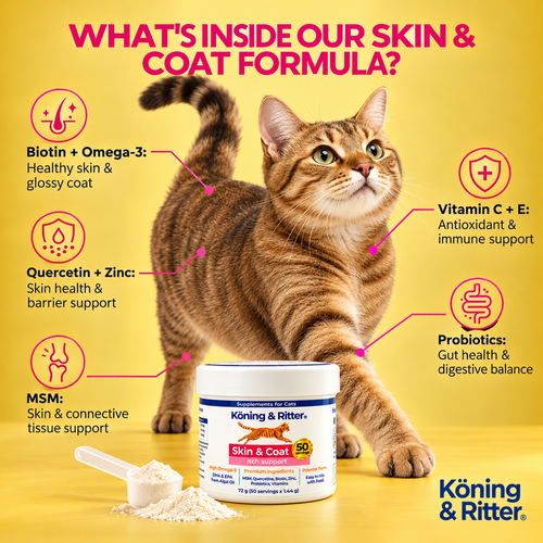 Cat Skin & Coat Supplement | Skin, Itch & Coat Support